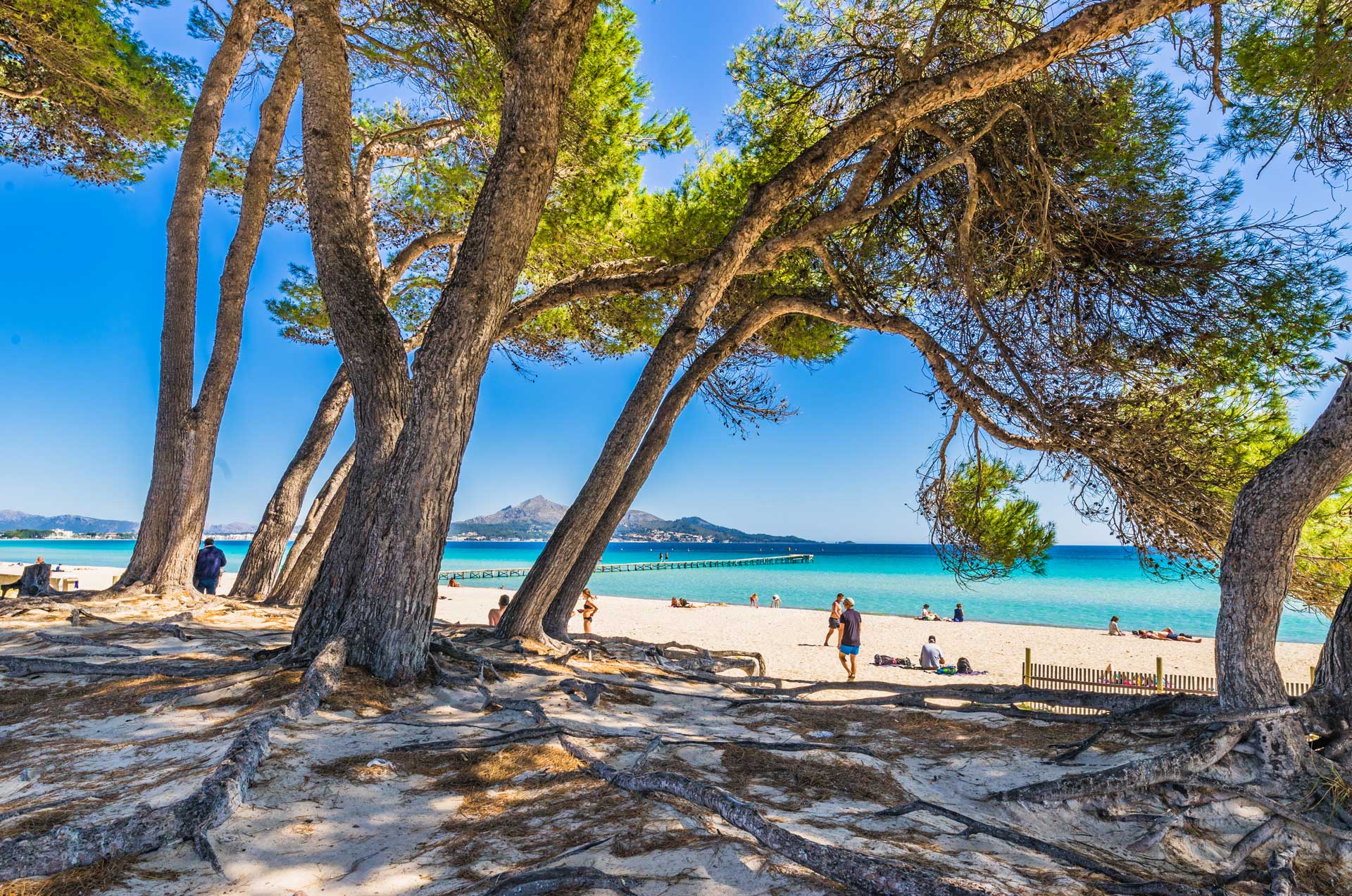 Playa de Alcudia con aguas turquesas